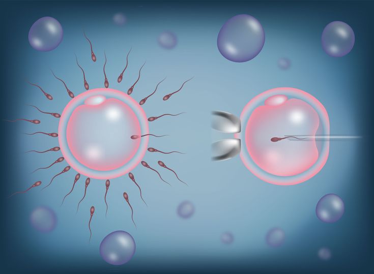 IVF Success Rates by Age for Mumbai Couples