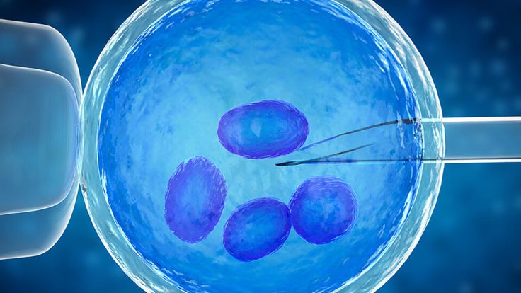 Egg Freezing: Process, Timeline & Right Age
