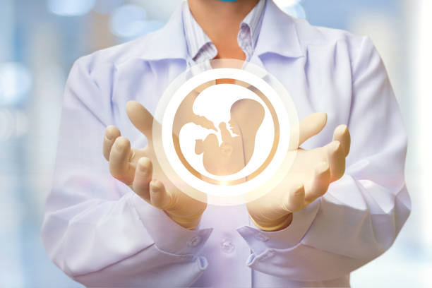 f0c4b371-8613-4397-80e1-92e6e67c066e Healthcare professional in a lab coat presenting a glowing fetal icon cradle in their hands, symbolizing prenatal care and protection