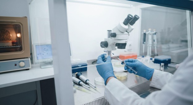 Scientist in blue gloves using a microscope inside a sterile lab hood.